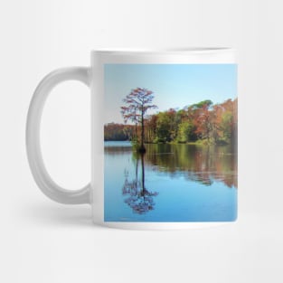 Fall In The Air Mug